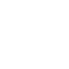 icon-1-b